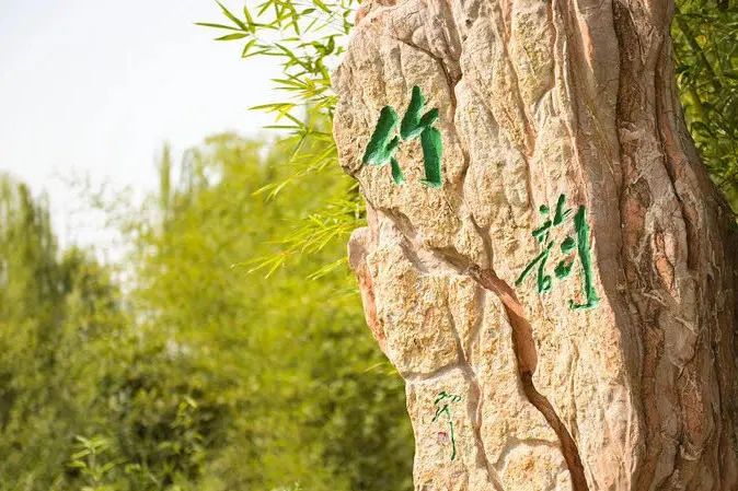 技术引领未来就业市场，看清全球人才招聘趋势